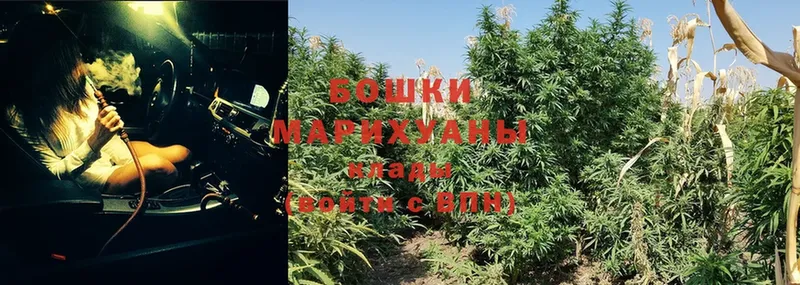 МАРИХУАНА OG Kush  Городовиковск 